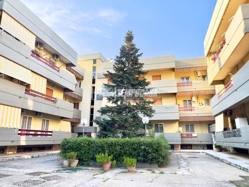 Appartamento in Via della Resistenza 22, Bitritto — foto 5 di 5