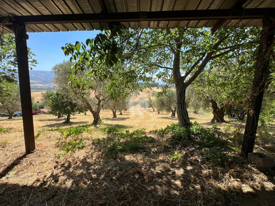 Casa indipendente in Località Contessa Sottana 18, Lattarico