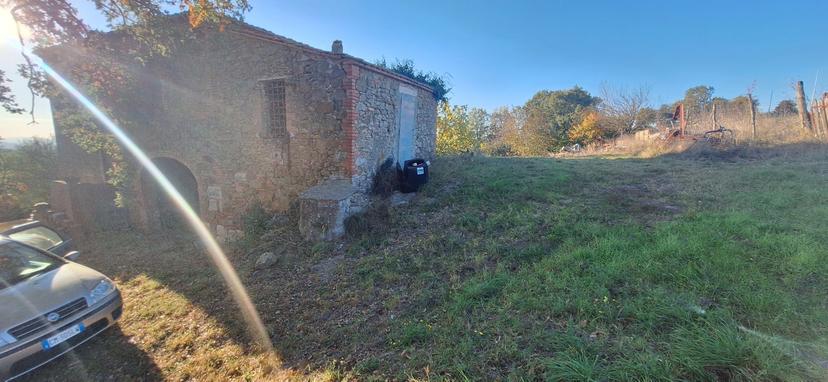 Rustico, Trequanda — foto 4 di 5