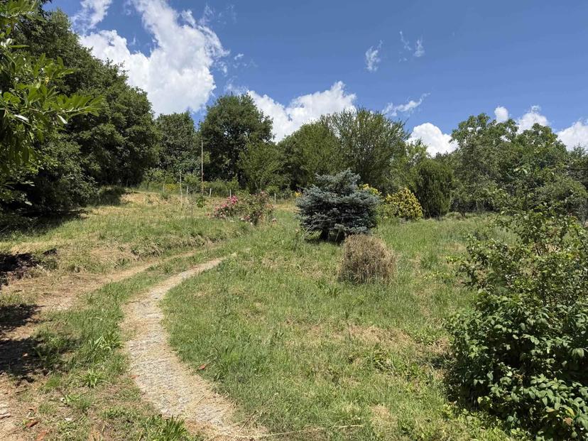 Casa indipendente in Poggiolino, Castel San Niccolò — foto 4 di 5