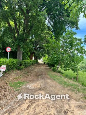 Casa colonica in Contrada Bottaccio 8, Mondavio — foto 4 di 5
