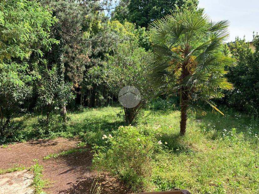 Villa in Via Monte Nevoso 2, Paderno Dugnano — foto 5 di 5