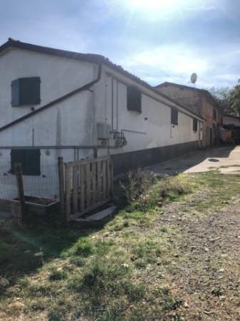 Rustico, Serramazzoni