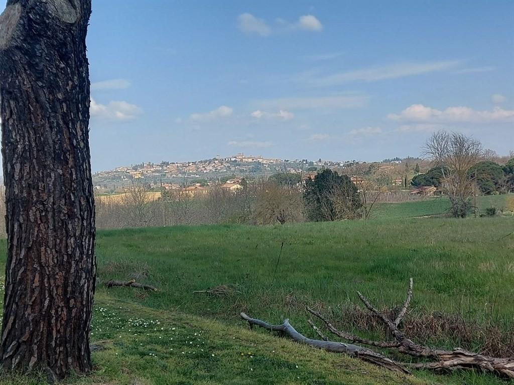 Villa, Lucignano