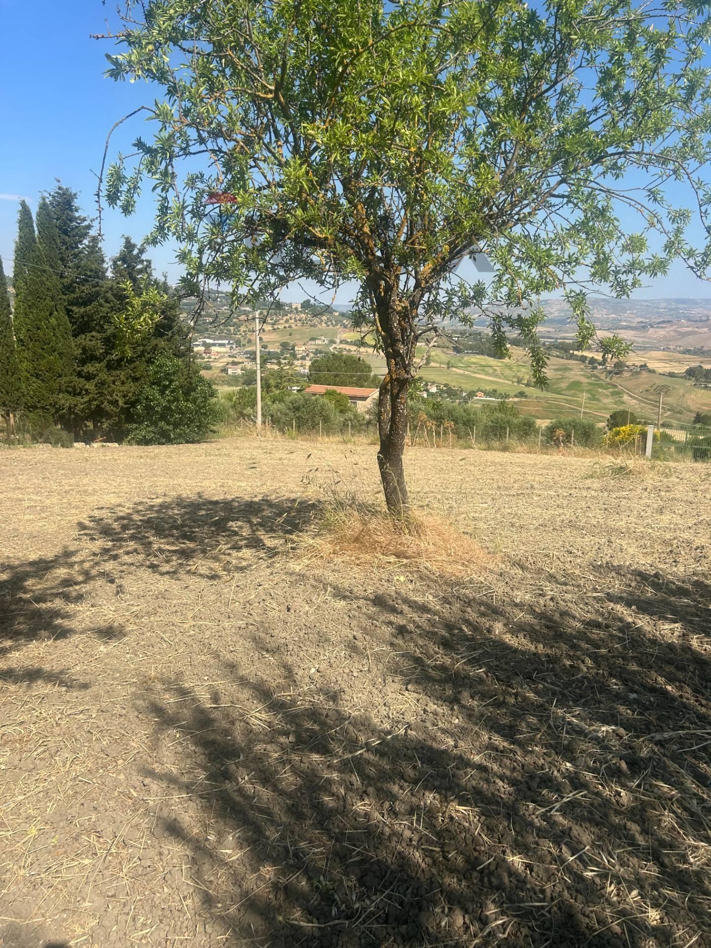 Rustico in Contrada Sabucina, Caltanissetta