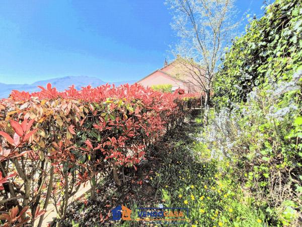 Bilocale in Sp490, Magliolo — foto 3 di 5
