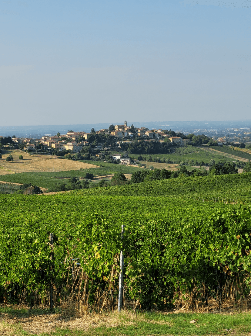 Villa bifamiliare in Località Albareto, Ziano Piacentino — foto 2 di 5