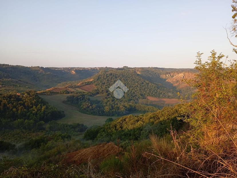 Villa in Localita' Palombaiole 1, Civitella d'Agliano — foto 4 di 5