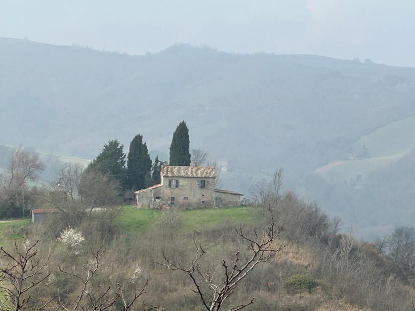 Casa colonica, Sogliano al Rubicone — foto 3 di 5