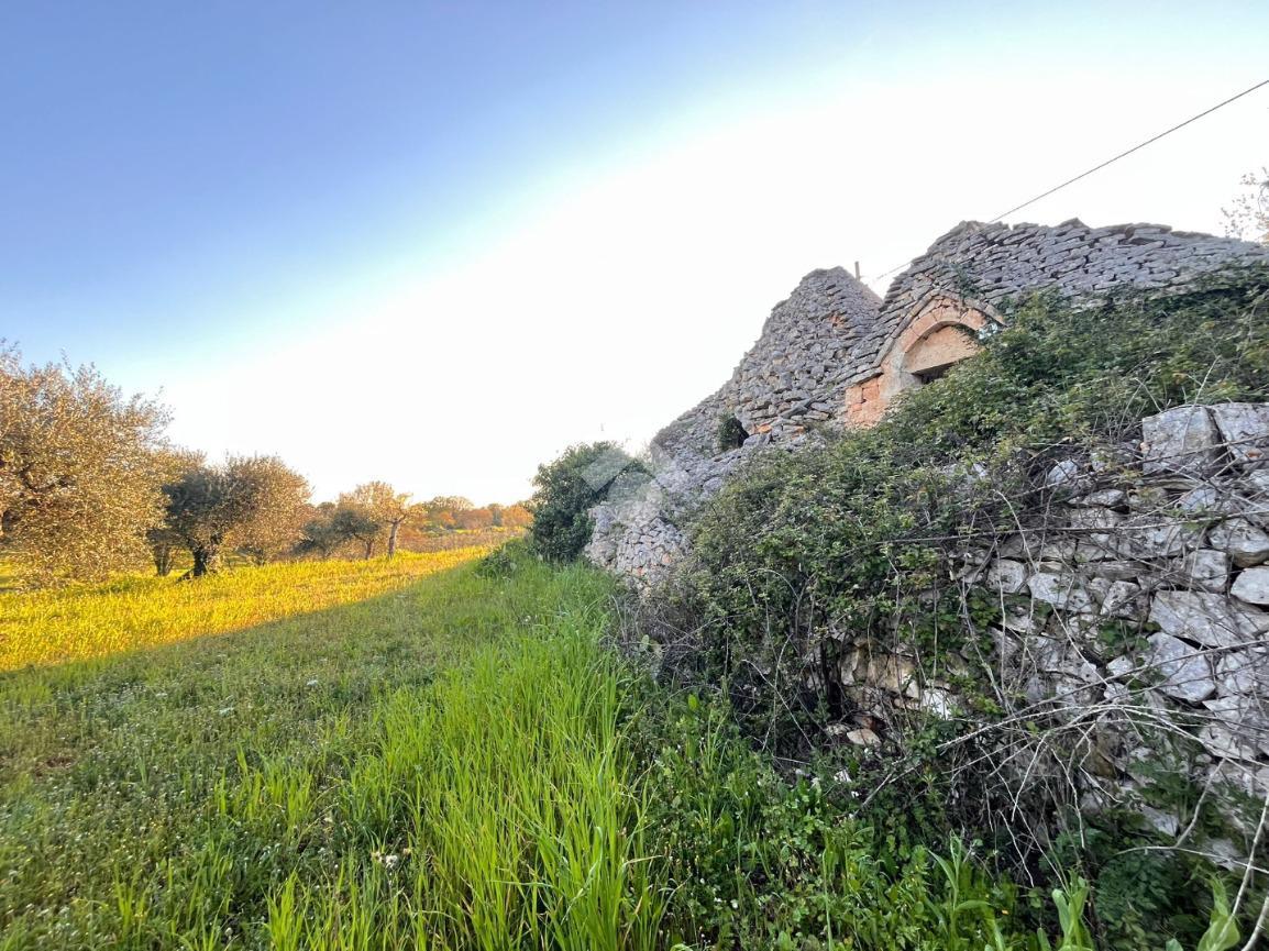Rustico in Contrada Papariello, Locorotondo