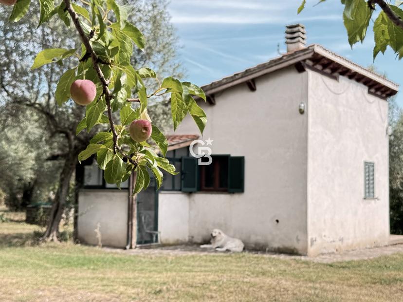 Casa indipendente in Località Pian di San Martino Snc, Vetralla — foto 4 di 5