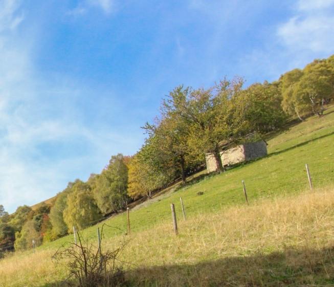 Rustico in Località Ermogna  Snc, Cerano d'Intelvi