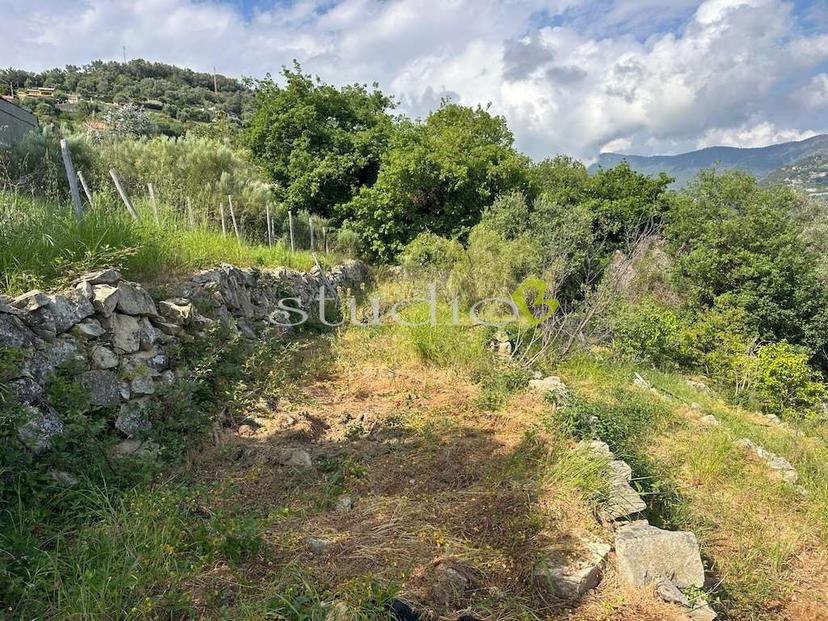 Villa unifamiliare in Via San Sebastiano Snc, Vallebona — foto 5 di 5