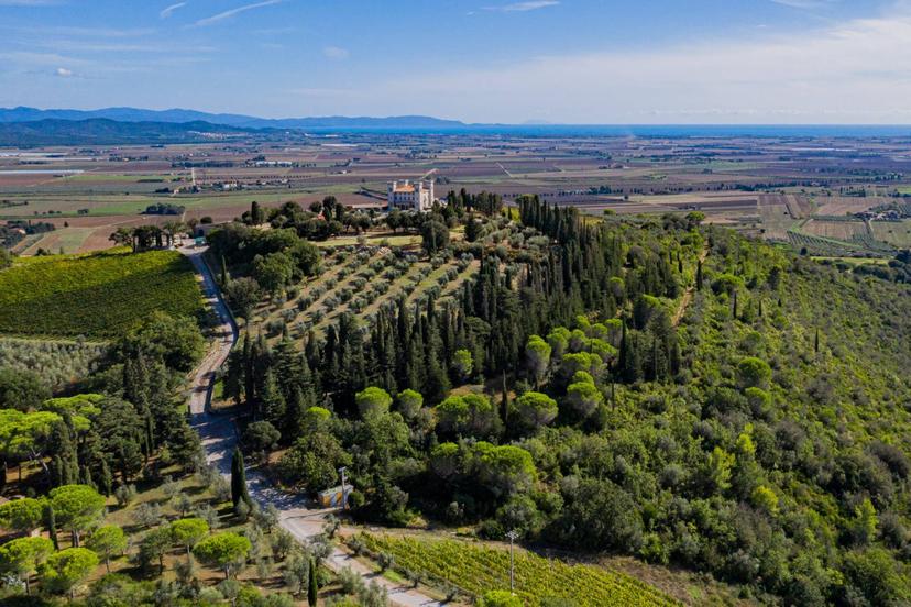 Castello in Via di San Vincenzo, Campiglia Marittima — foto 5 di 5