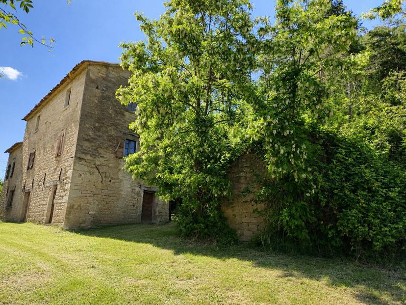 Rustico, Galeata — foto 5 di 5