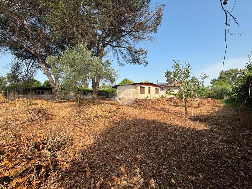Casa indipendente in Consorzio Arduino 1799, Sabaudia — foto 3 di 5