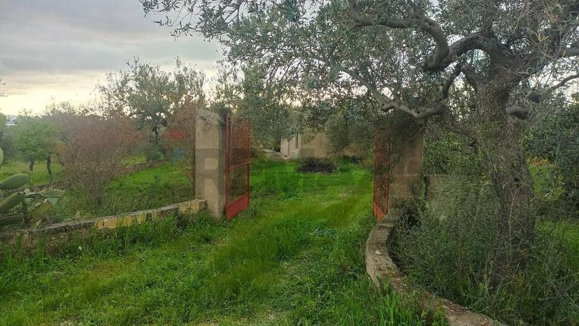 Rustico in C/da  Cirito, Chiaramonte Gulfi — foto 5 di 5