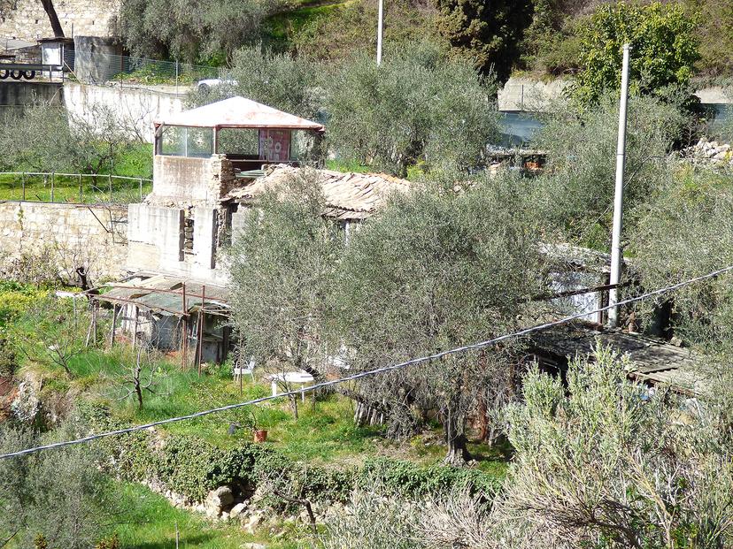 Rustico, Sanremo — foto 3 di 5