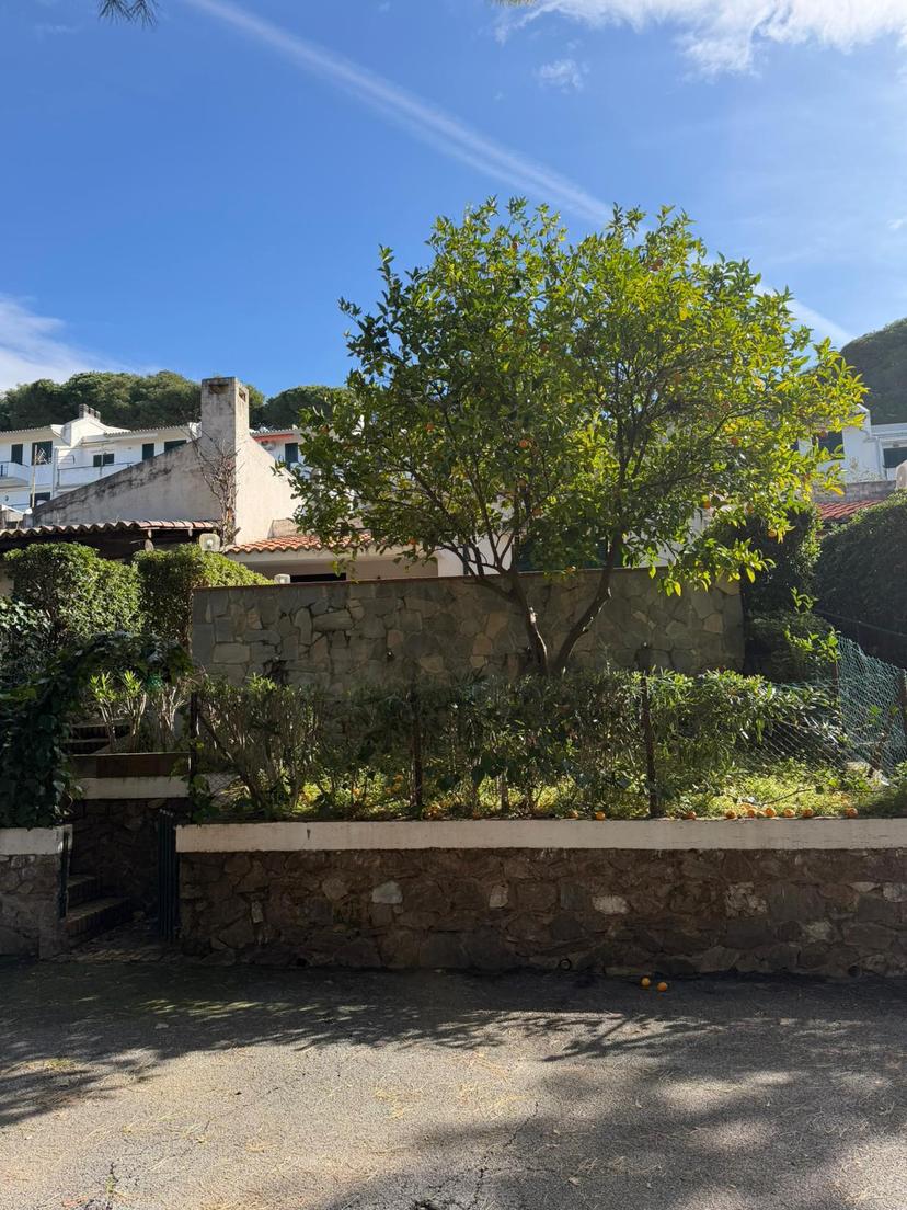 Trilocale in Viale della Libertà Snc, Sangineto — foto 5 di 5