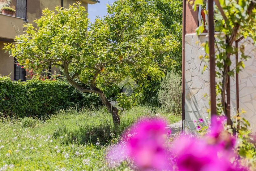 Villa in Via Alessandro Scarlatti 41, Cerveteri — foto 2 di 5