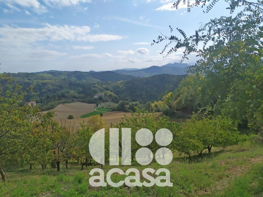 Casa indipendente, Mercato Saraceno
