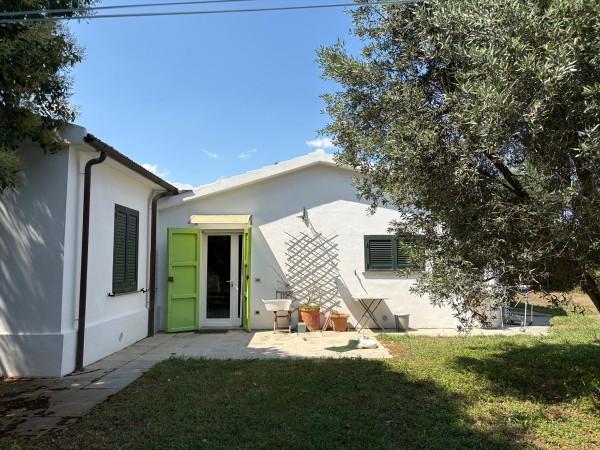 Villa bifamiliare in Località Centro H, Capalbio — foto 3 di 5