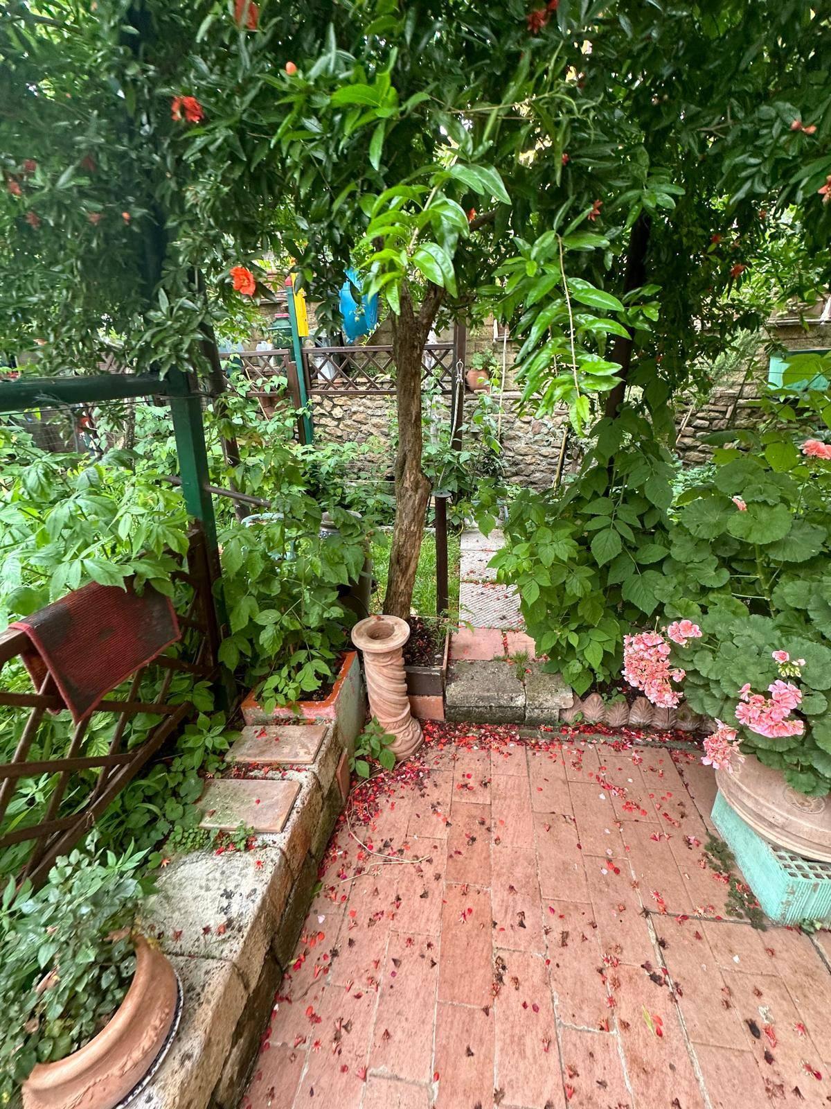 Villa a schiera, Campiglia Marittima