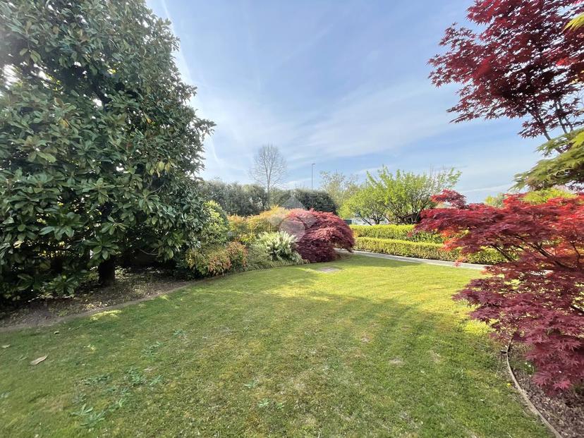 Villa a schiera in Via Don Orione 36, Trebaseleghe — foto 3 di 5