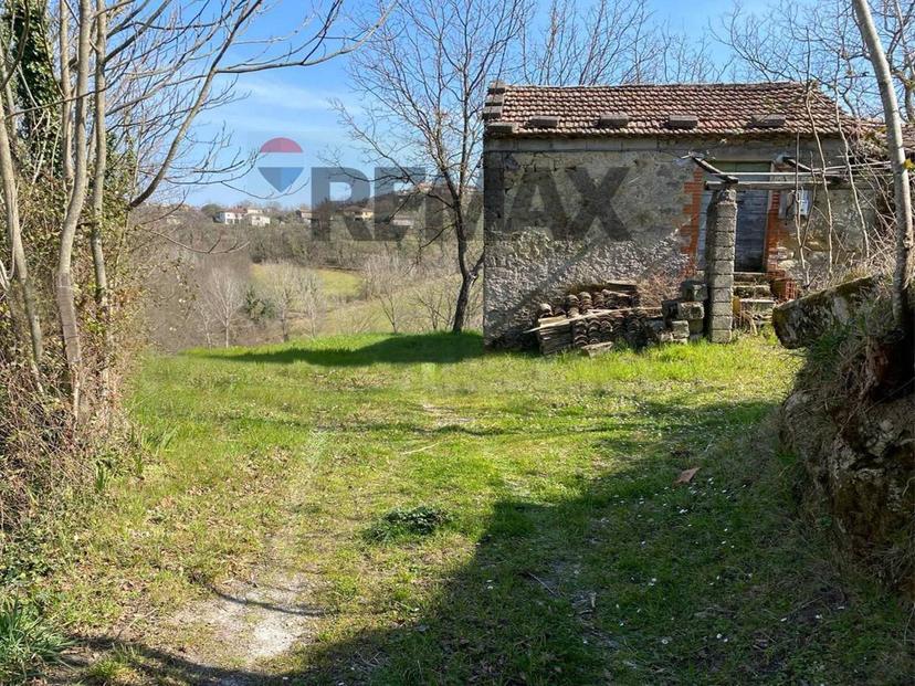 Rustico, Strangolagalli — foto 4 di 5