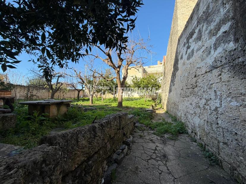 Casa indipendente in Via San Francesco d'Assisi, Rutigliano — foto 3 di 5