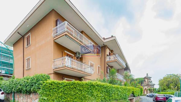 Quadrilocale in Via Vignola 8, Monte Porzio Catone — foto 3 di 5