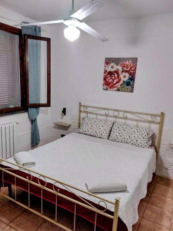 Casa colonica, Montescudaio — foto 5 di 5
