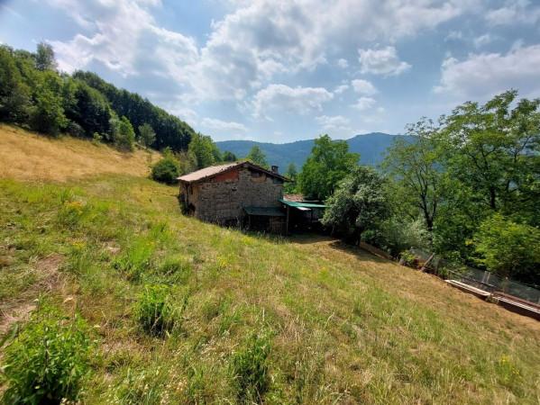 Rustico, Pertica Bassa — foto 2 di 5