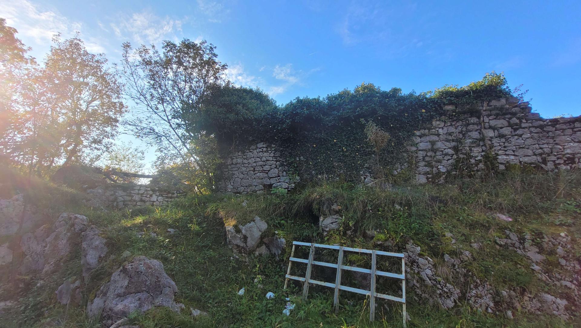 Rustico, Caneva