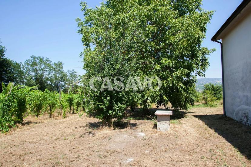 Villa in Via Ettore Maffei 4, Taurasi — foto 5 di 5