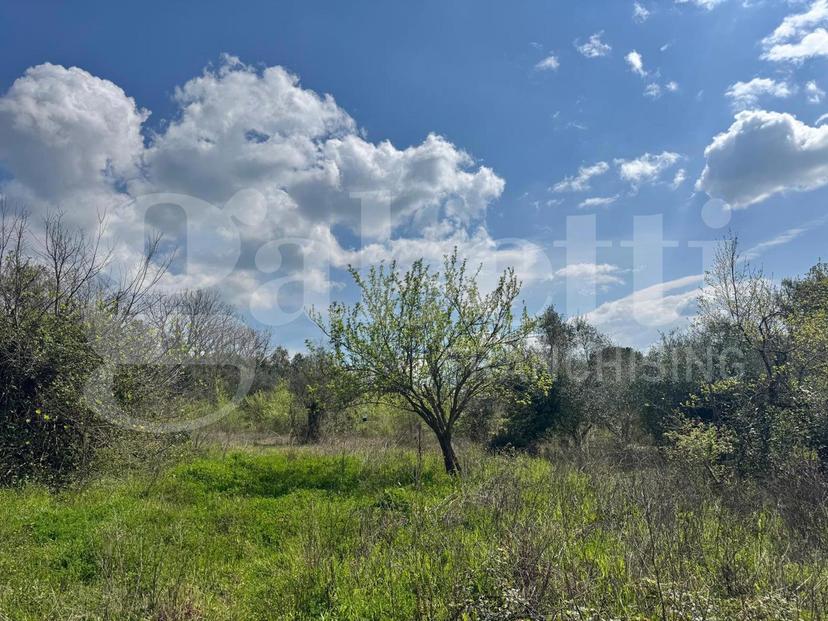 Casa indipendente in Via Progresso, Piana di Monte Verna — foto 4 di 5