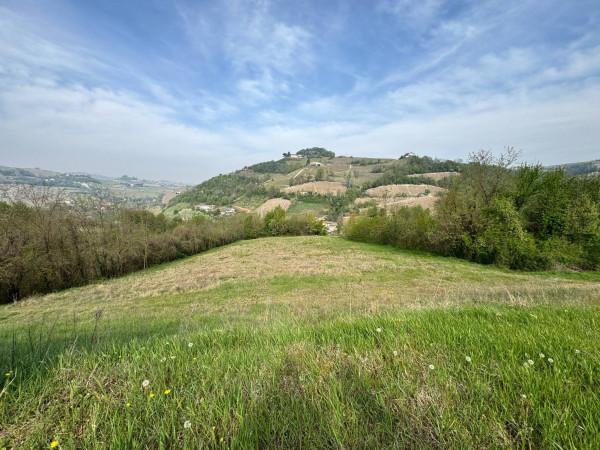 Villa in Località Bauda, Santo Stefano Belbo — foto 2 di 5