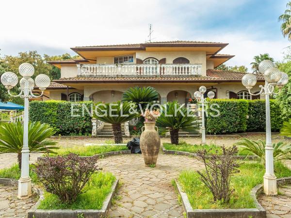Villa in Via dei Faggi, Cisterna di Latina — foto 3 di 5