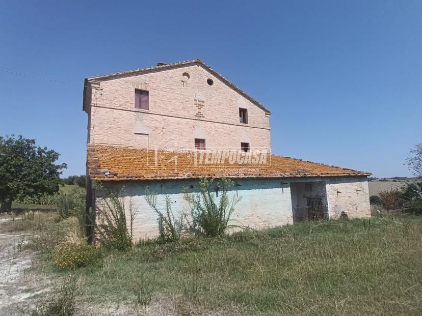 Casa indipendente, Ostra — foto 3 di 5