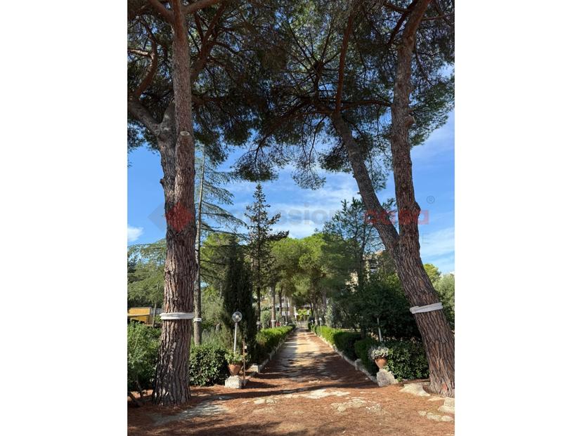 Villa in Viale della Costituzione 26, Grottaglie — foto 5 di 5