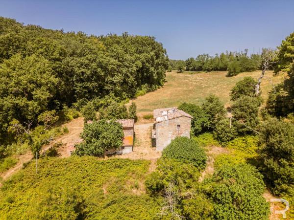 Rustico in Strada Provinciale Volterrana, Gambassi Terme — foto 4 di 5