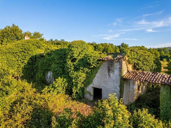 Rustico in Strada Provinciale delle Pinete, Monticiano — foto 3 di 5