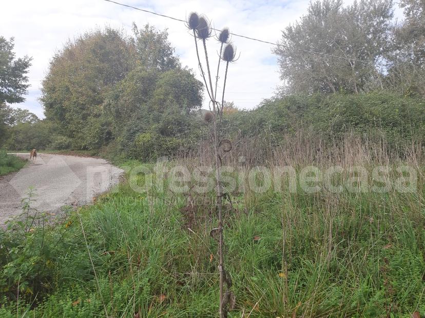 Masseria in Località Civitavecchia 1, San Pietro Avellana — foto 3 di 5