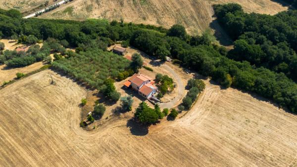 Villa, Viterbo — foto 3 di 5