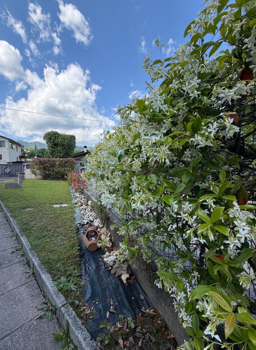 Casa indipendente, Mussolente — foto 3 di 5