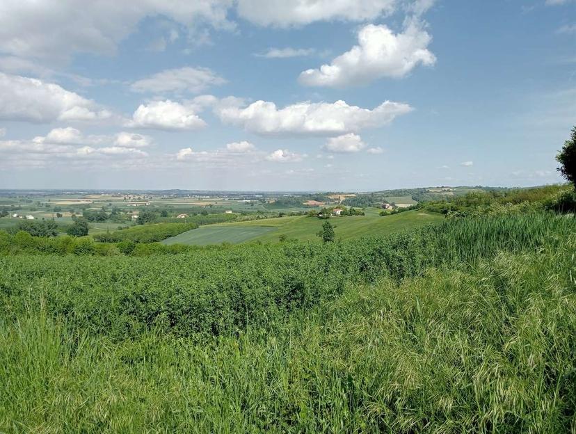 Villa unifamiliare, Conzano — foto 3 di 5
