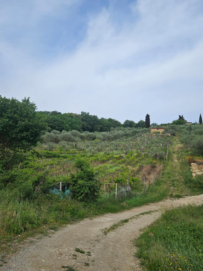 Casale, Sinalunga — foto 5 di 5