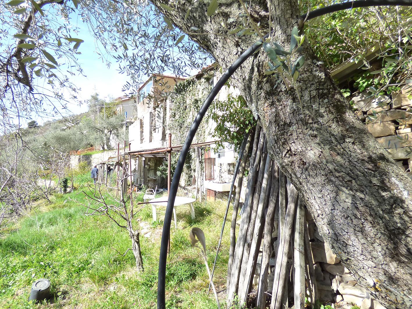 Rustico, Sanremo