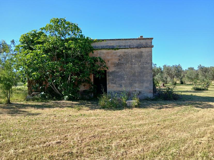 Casale in C.da Grottole, Latiano — foto 5 di 5