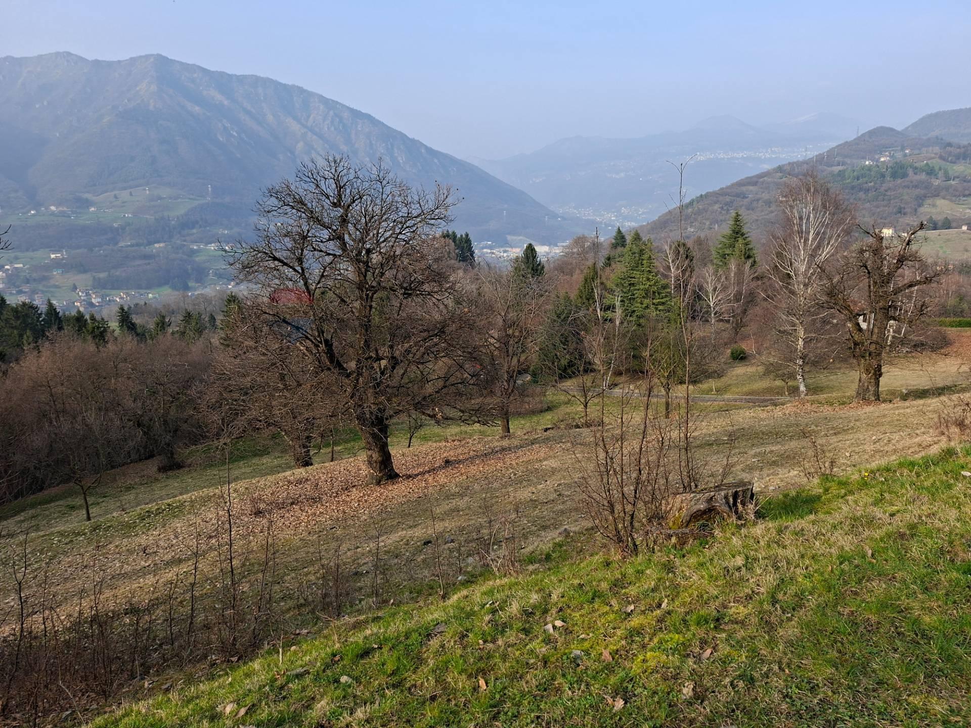Rustico, Solto Collina